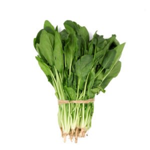 a bundle of fresh spinach on white background