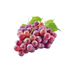 الاسواني فريش 2026 09 18t142750.649